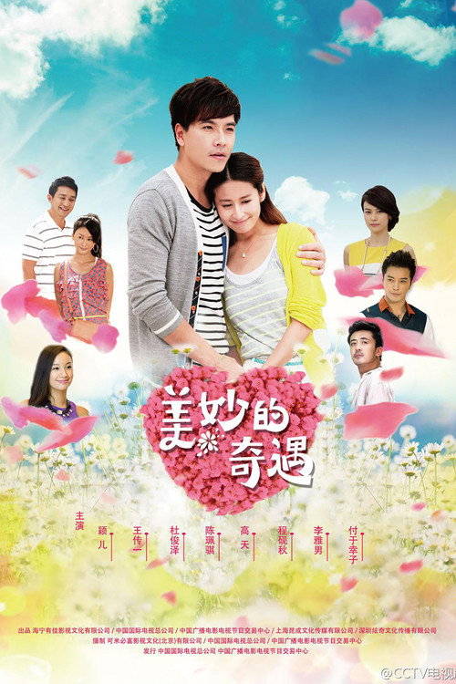 Póster de 美妙的奇遇情缘