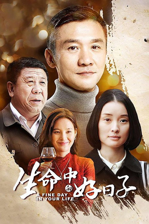Póster de 生命中的好日子