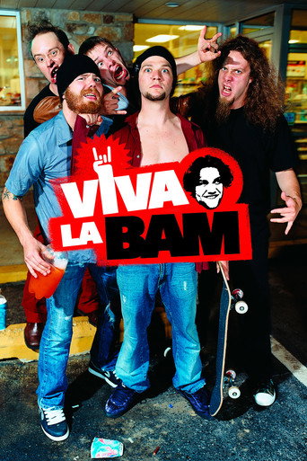 Póster de Viva La Bam