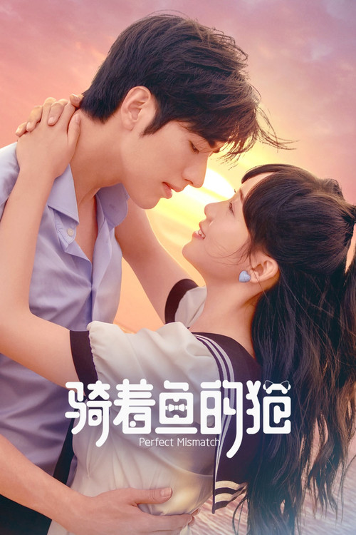 Póster de 骑着鱼的猫