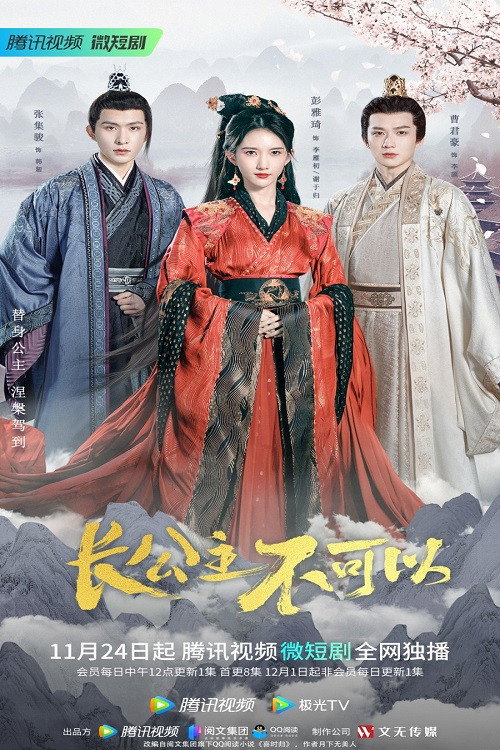 Póster de 长公主不可以