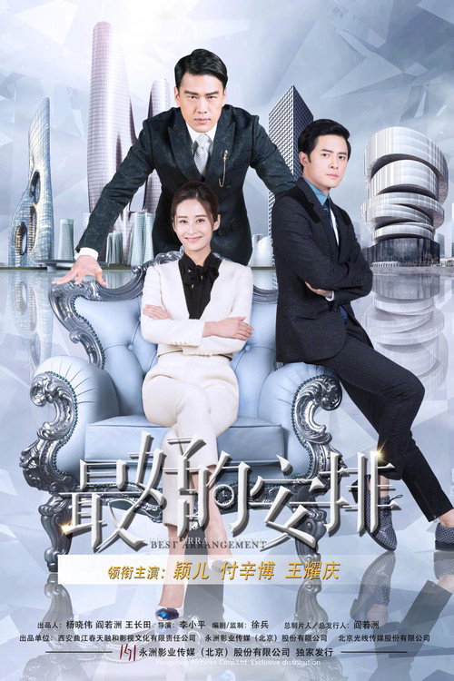 Póster de 最好的安排