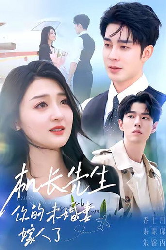 Póster de 机长先生，你的未婚妻嫁人了