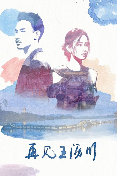 Póster de 再见王沥川