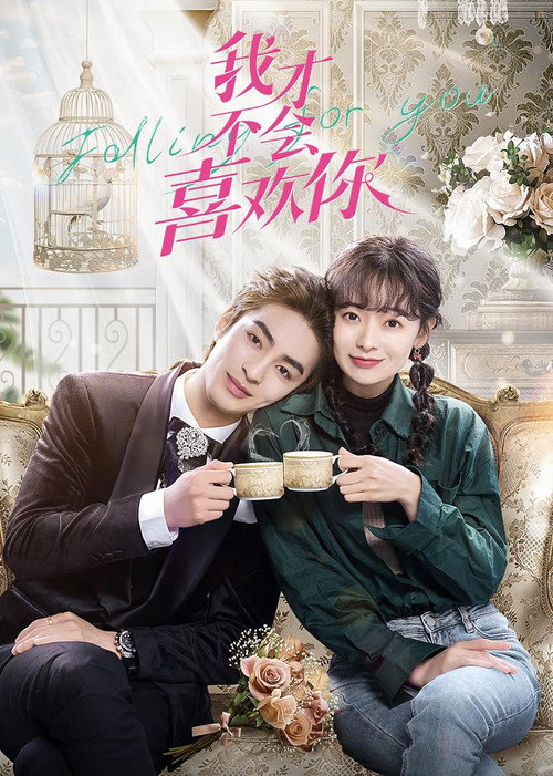 Póster de 我才不会喜欢你