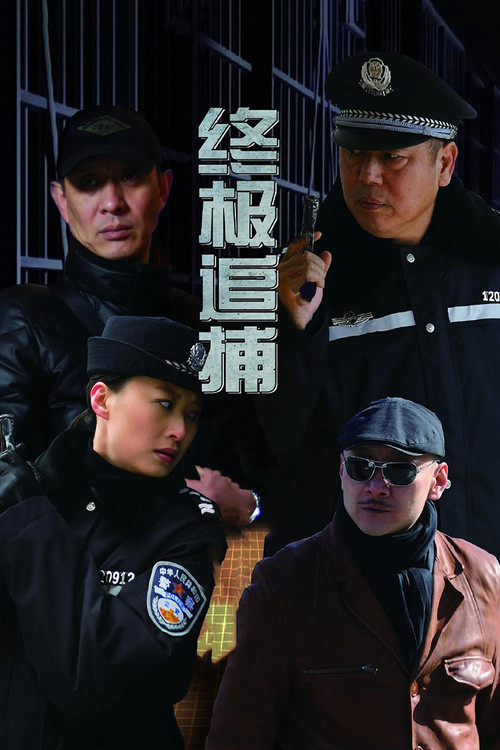 Póster de 终极追捕