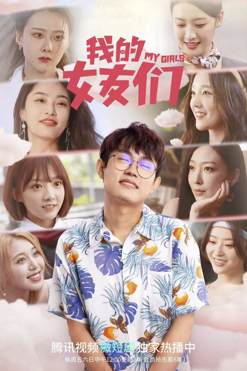 Póster de 我的女友们