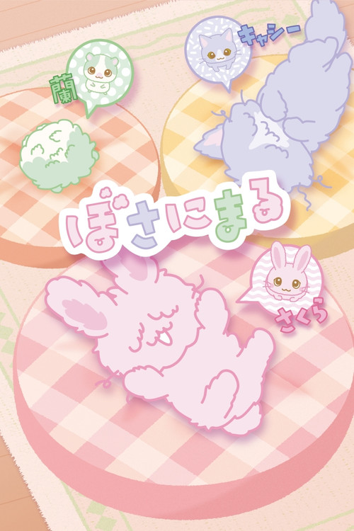 Póster de ぼさにまる
