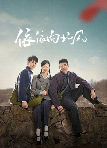 Póster de 依依向北风