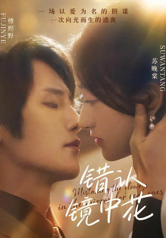 Póster de 错认镜中花