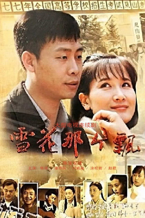 Póster de 雪花那个飘