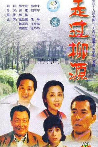 Póster de 走过柳源