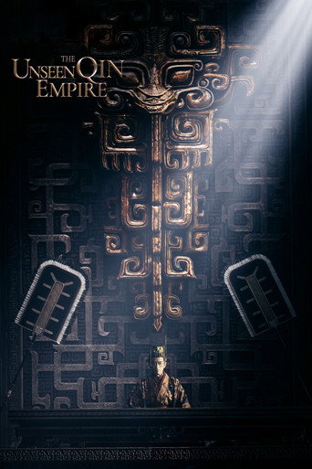 Póster de 秦谜