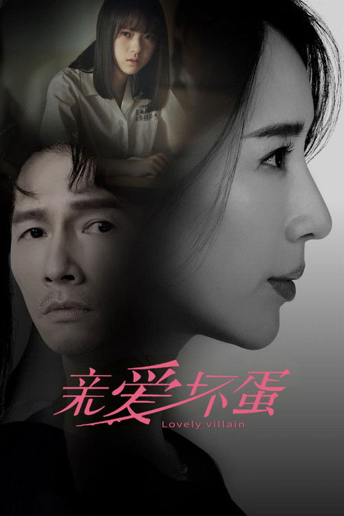 Póster de 親愛壞蛋