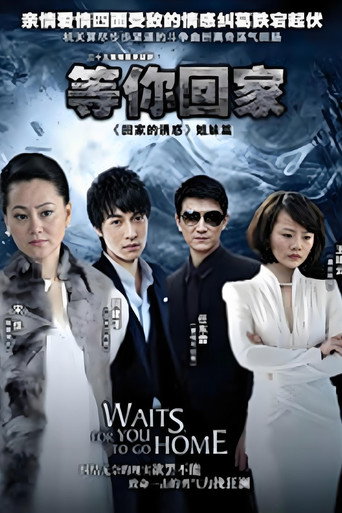 Póster de Waits for you to go home