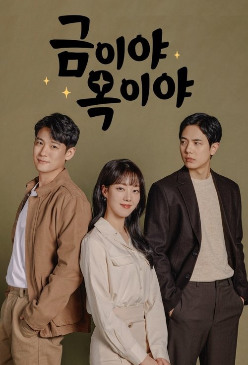Póster de 금이야 옥이야