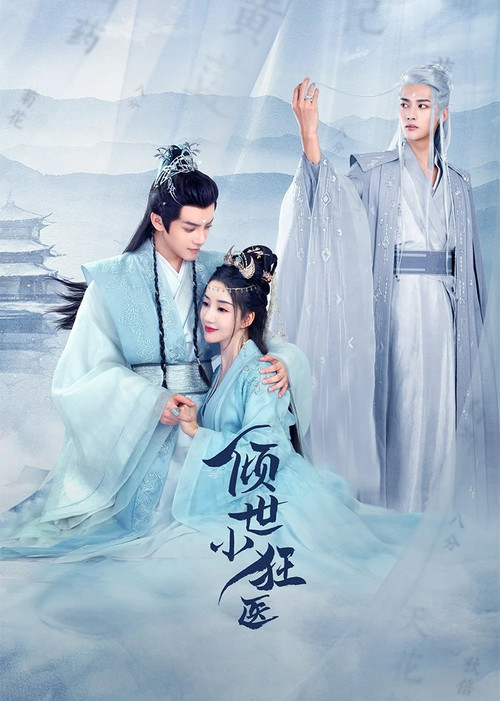 Póster de 倾世小狂医