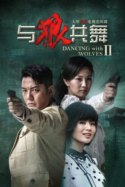 Póster de 与狼共舞2