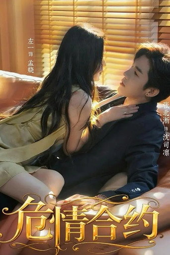 Póster de 危情合约