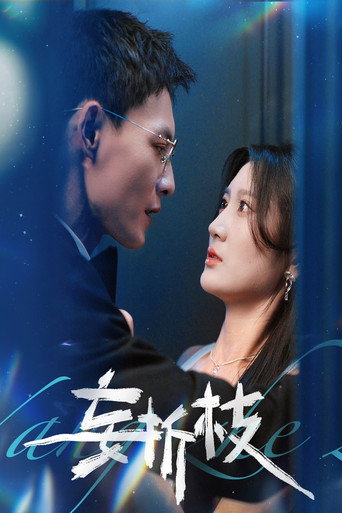 Póster de 妄折枝