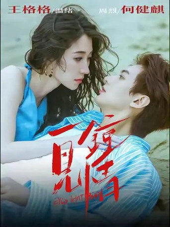 Póster de Love at First Sight