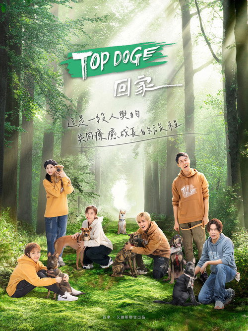 Póster de TOP DOG