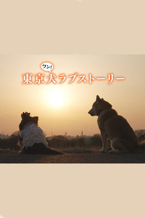 Póster de 東京犬ラブストーリー