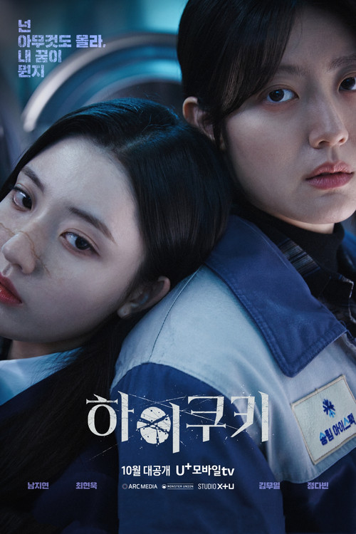Póster de 하이쿠키