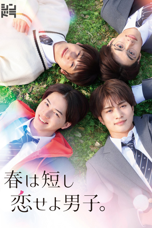 Póster de 春は短し恋せよ男子。