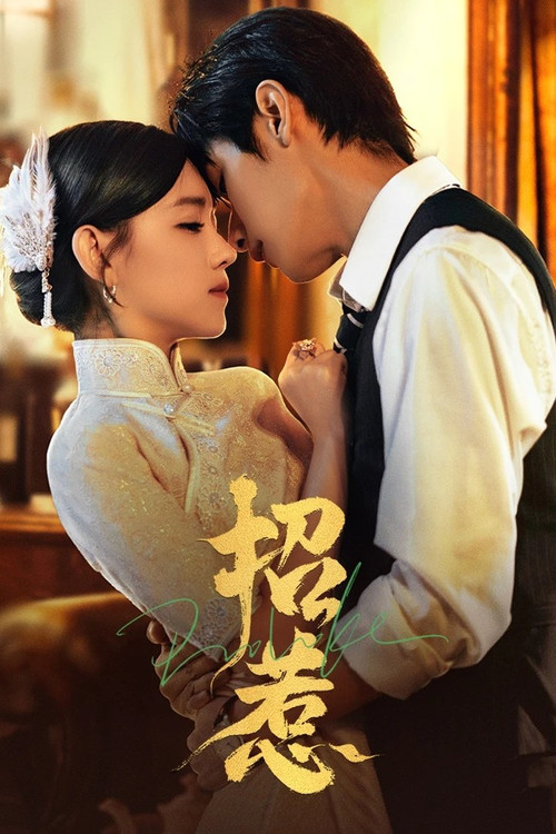 Póster de 招惹