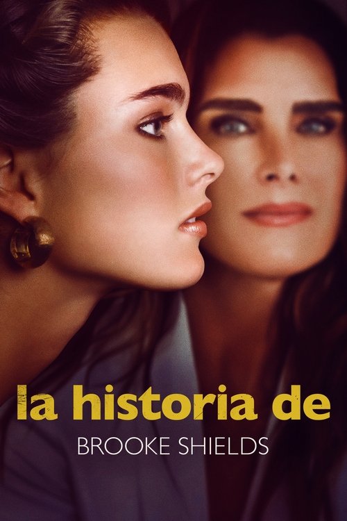 Póster de La historia de Brooke Shields