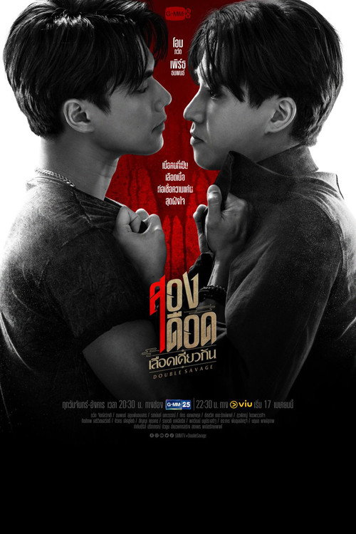 Póster de สองเดือดเลือดเดียวกัน
