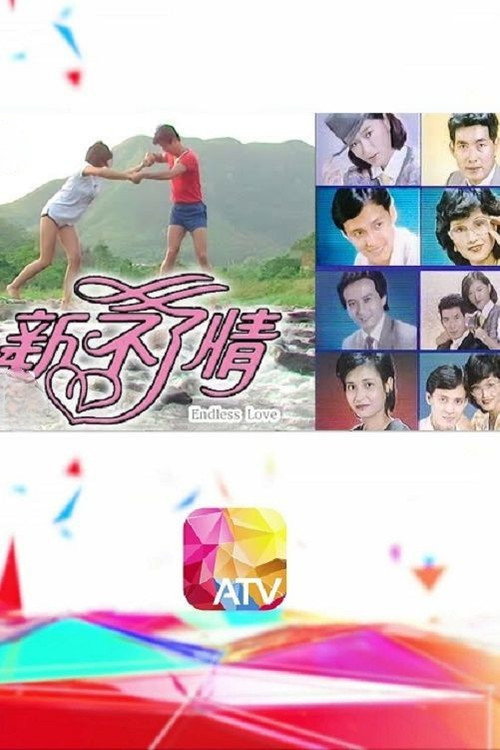 Póster de 新不了情