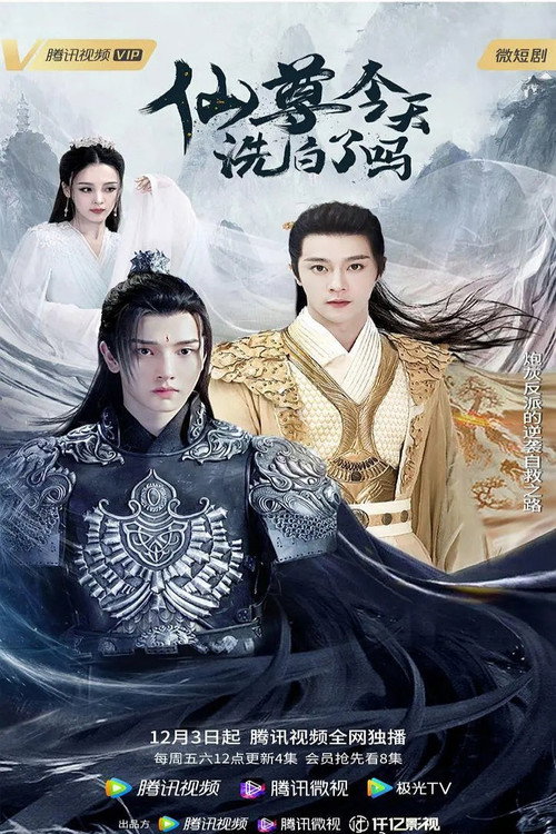 Póster de 仙尊，今天洗白了吗