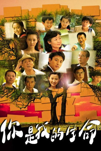 Póster de 50分間の恋人
