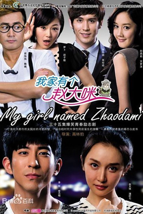 Póster de 我家有个赵大咪