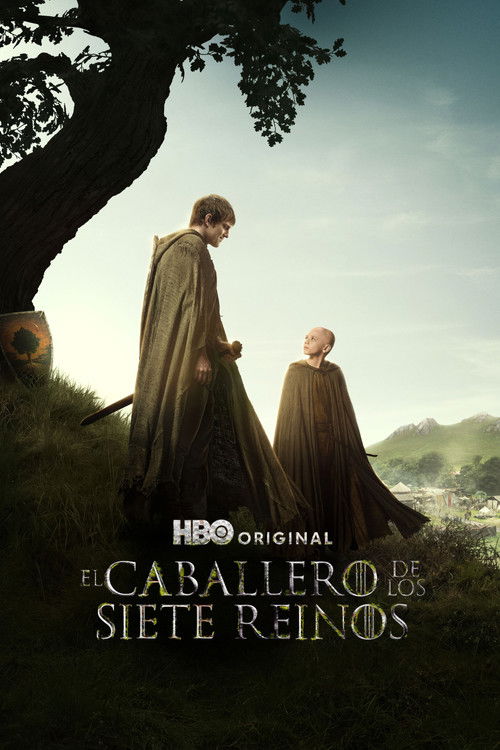 Póster de El caballero de los Siete Reinos