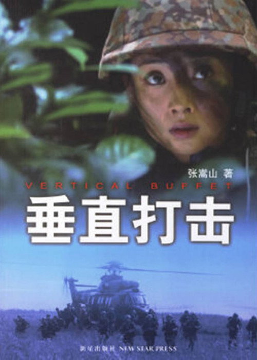 Póster de 垂直打击