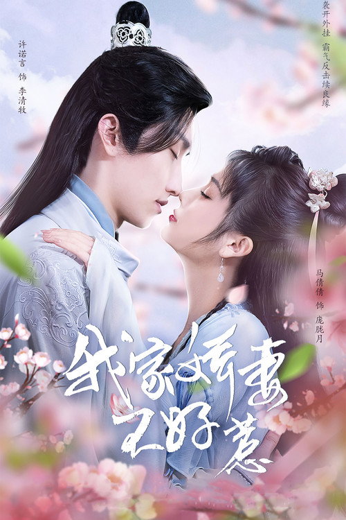 Póster de 我家娇妻不好惹