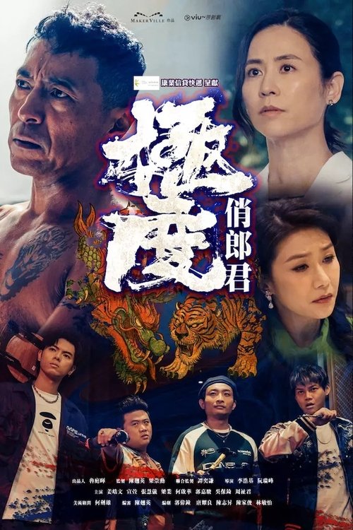 Póster de 極度俏郎君