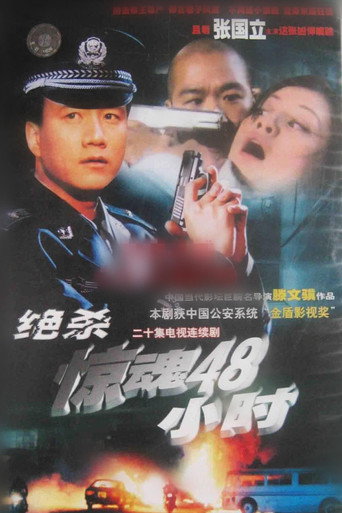 Póster de 危情时刻