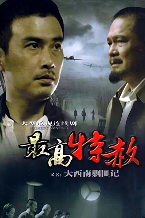 Póster de 大西南剿匪记