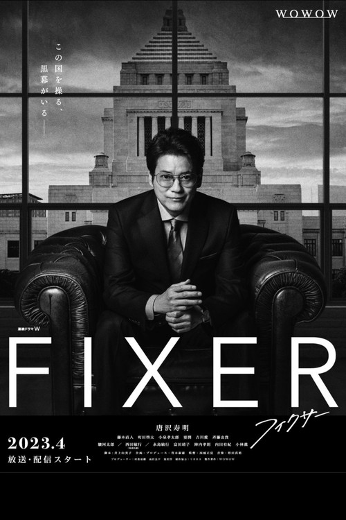 Póster de フィクサー