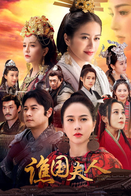 Póster de 谯国夫人