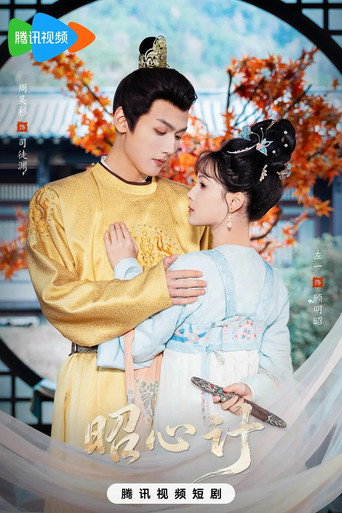 Póster de 昭心计