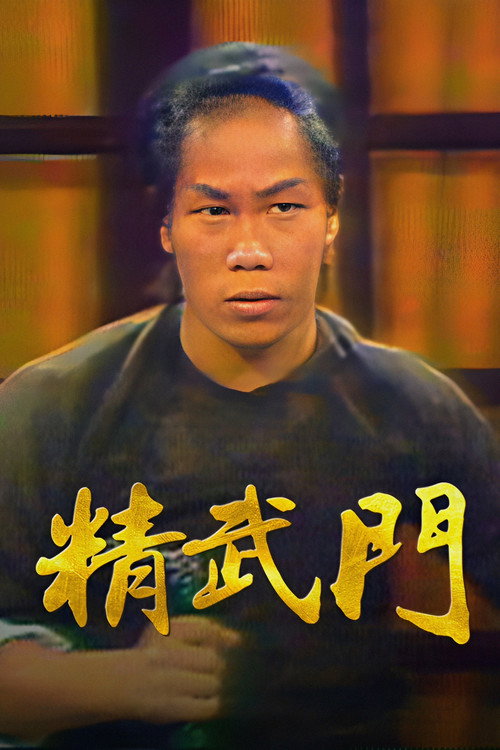 Póster de 精武門