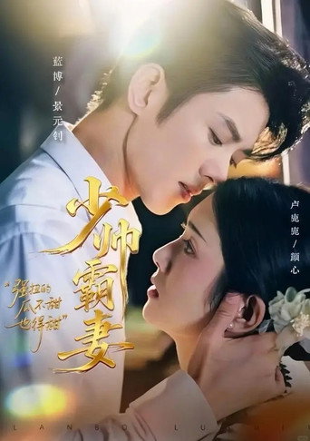 Póster de 少帅霸妻，强扭的瓜不甜也得甜