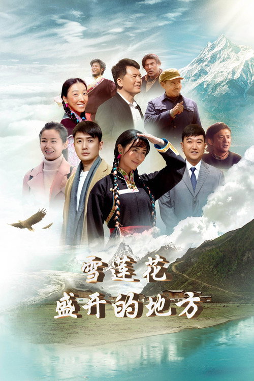 Póster de 雪莲花盛开的地方