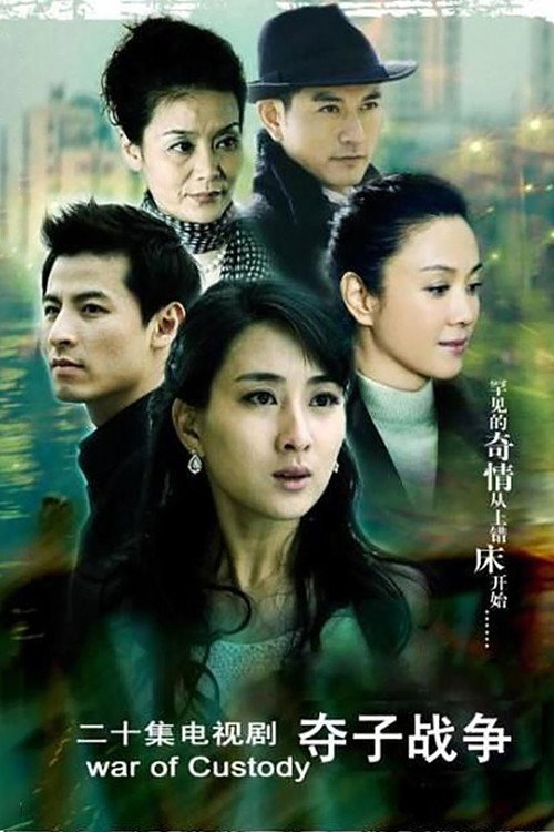 Póster de 妇道之夺子战争