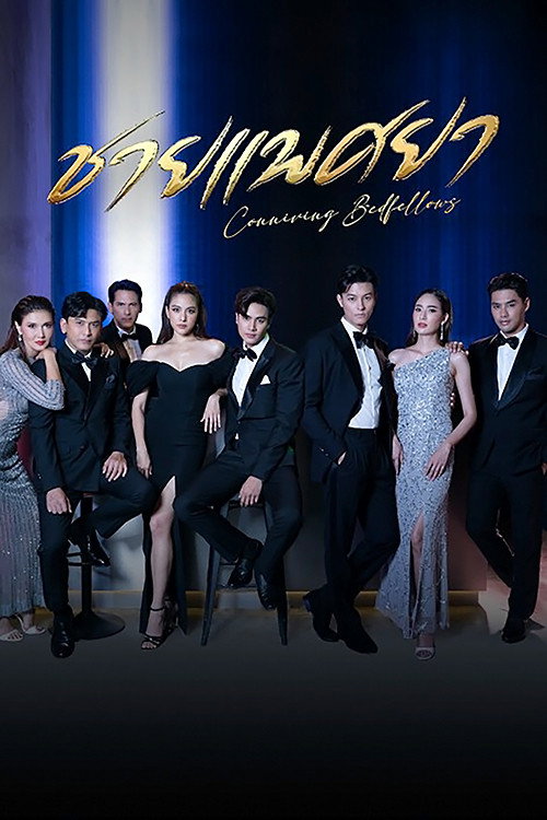 Póster de ชายแพศยา